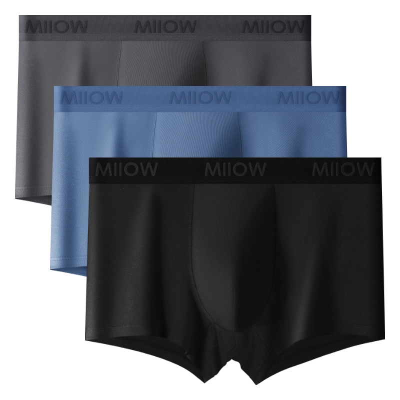 MIIOW 1