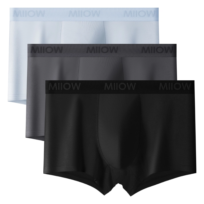 MIIOW 1