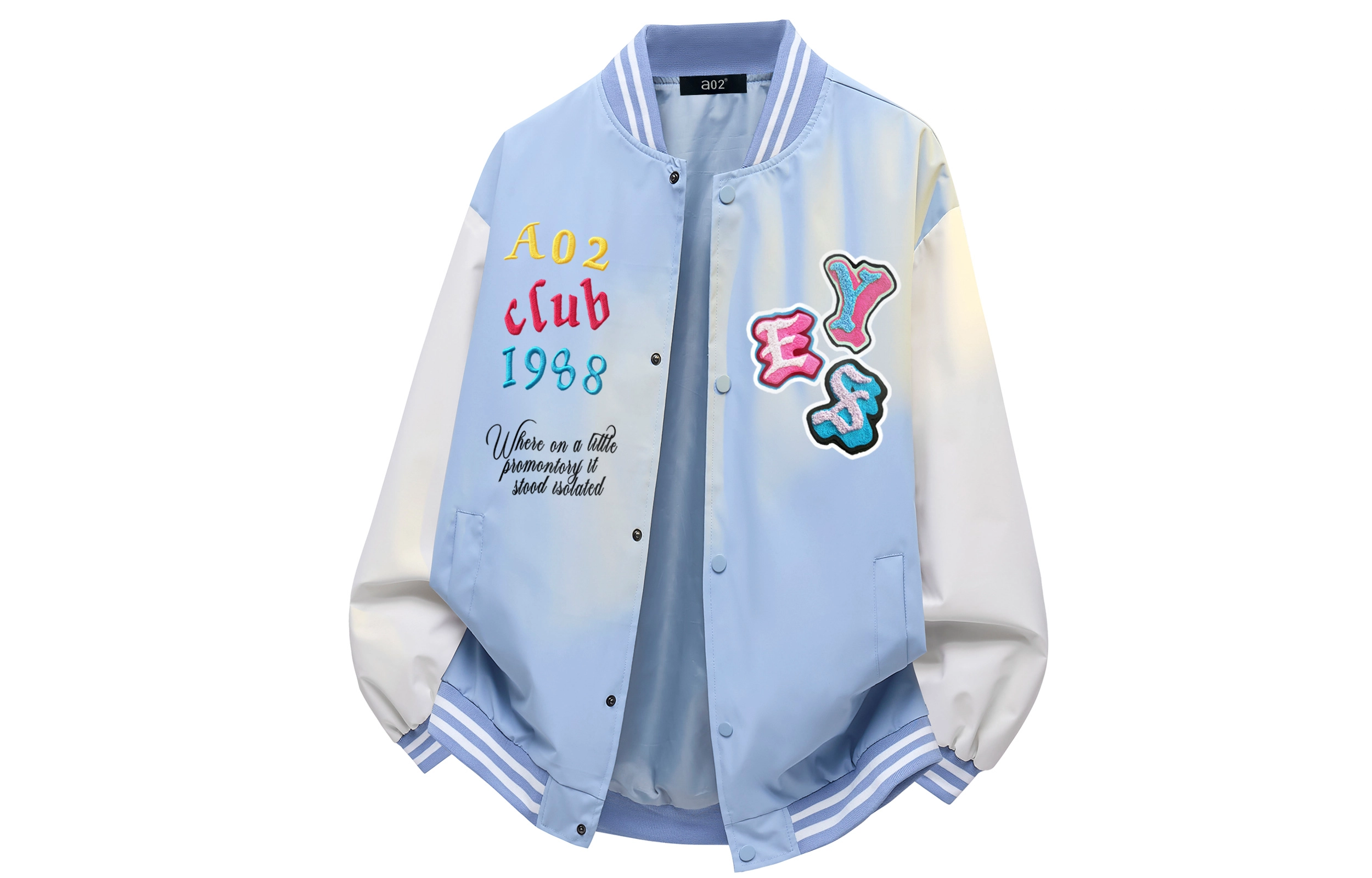 a02 LOGOins