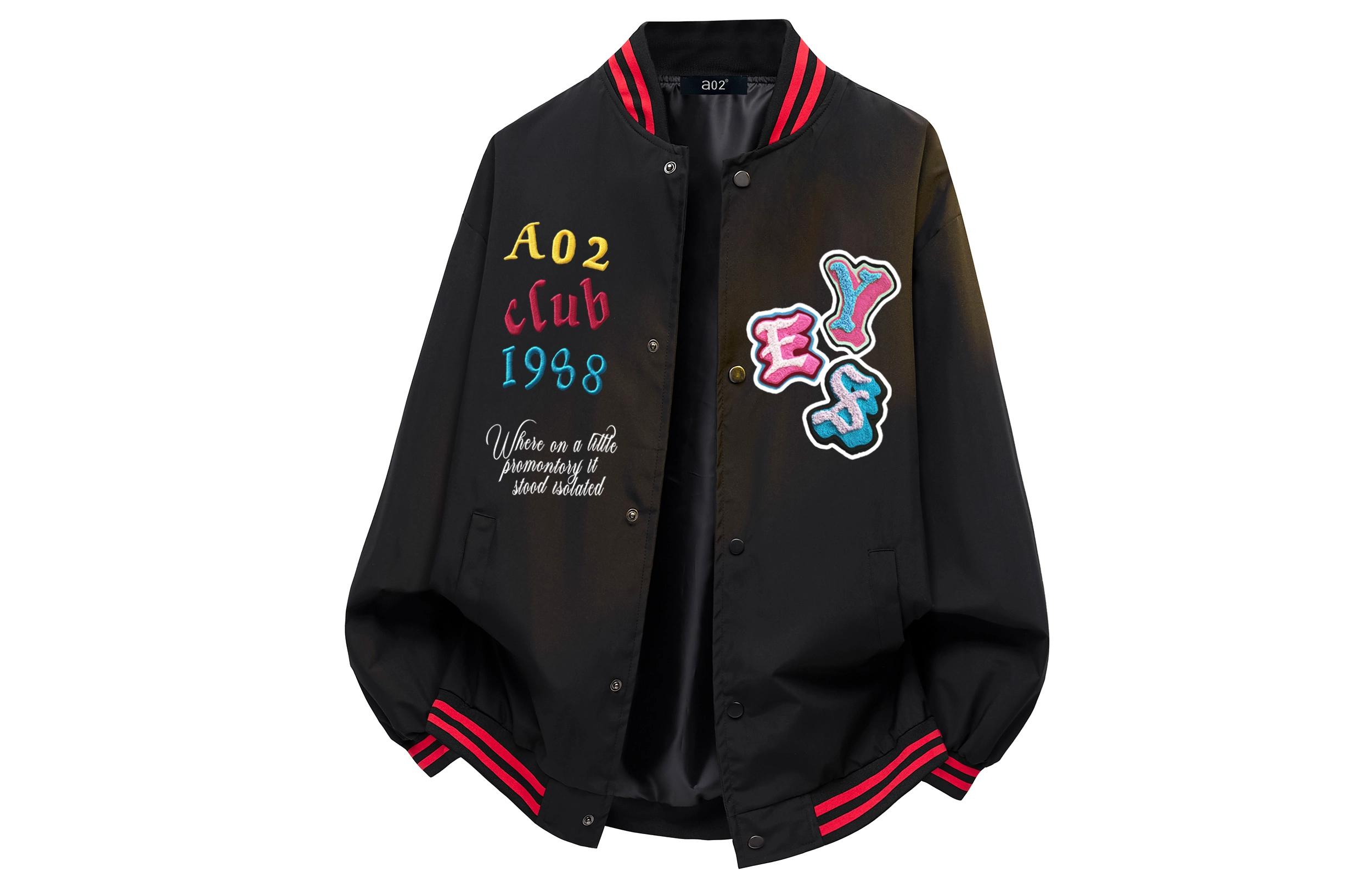 a02 LOGOins