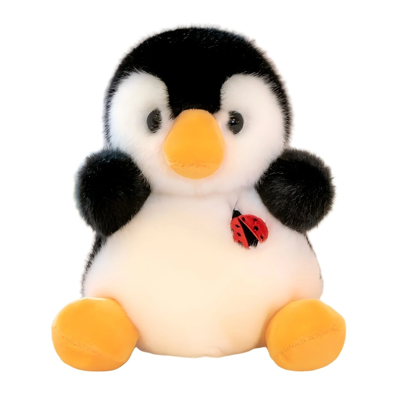 20cm