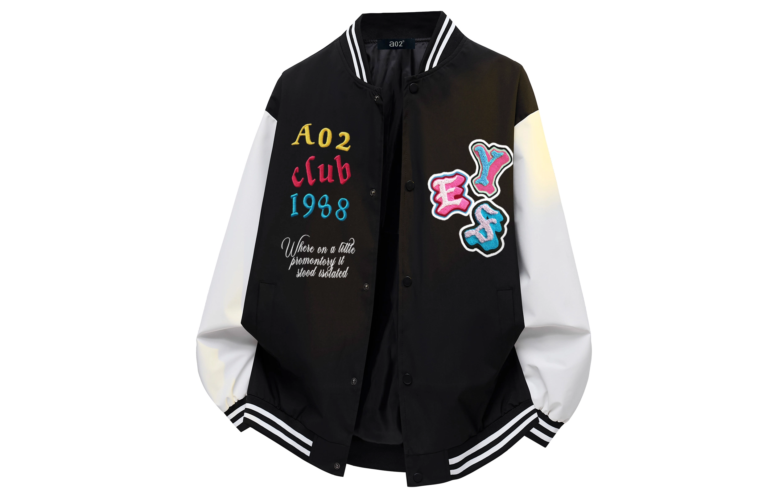 a02 LOGOins