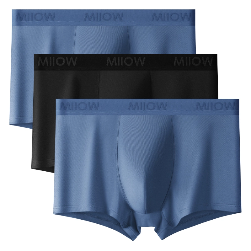 MIIOW 1