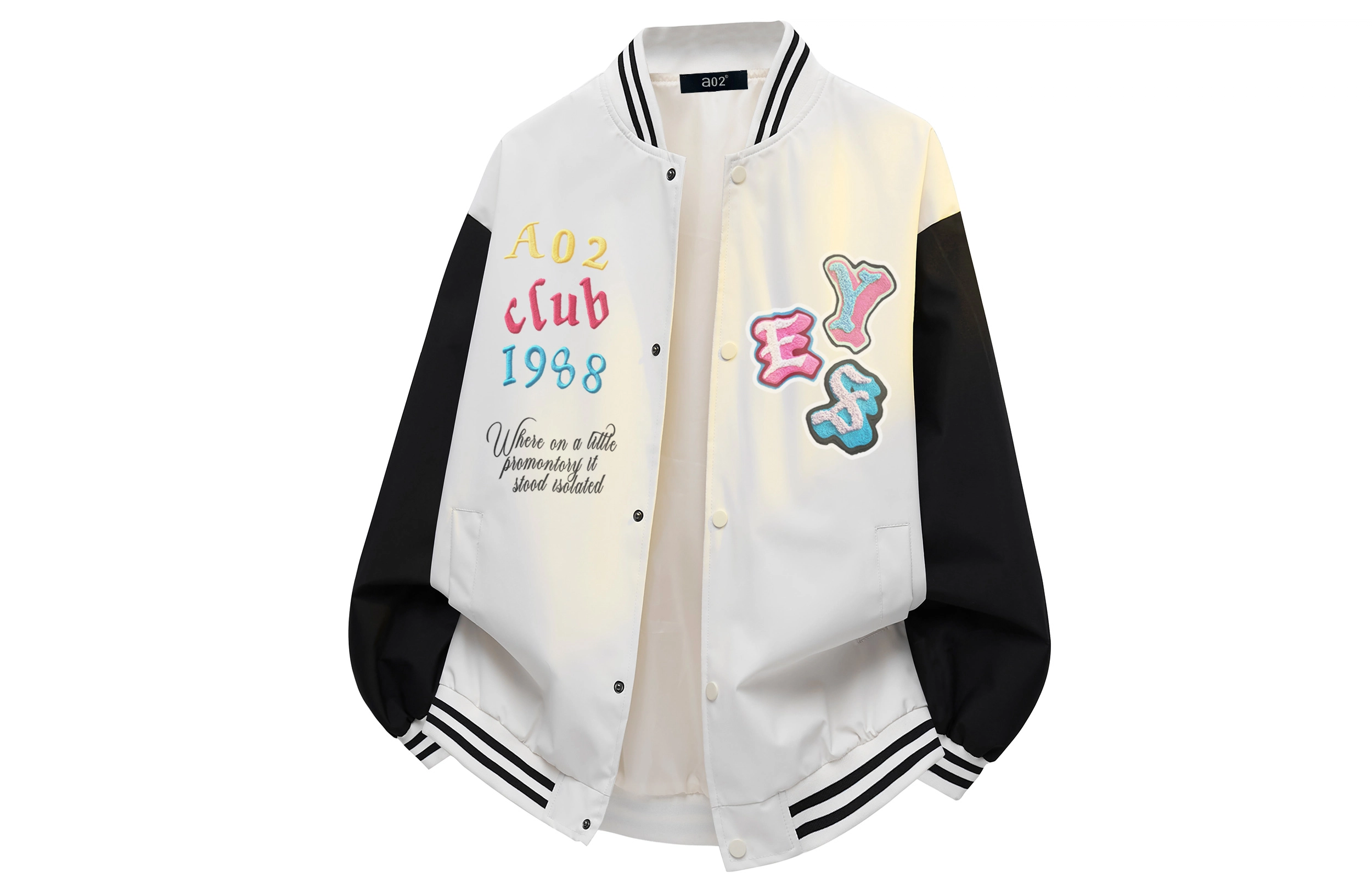 a02 LOGOins