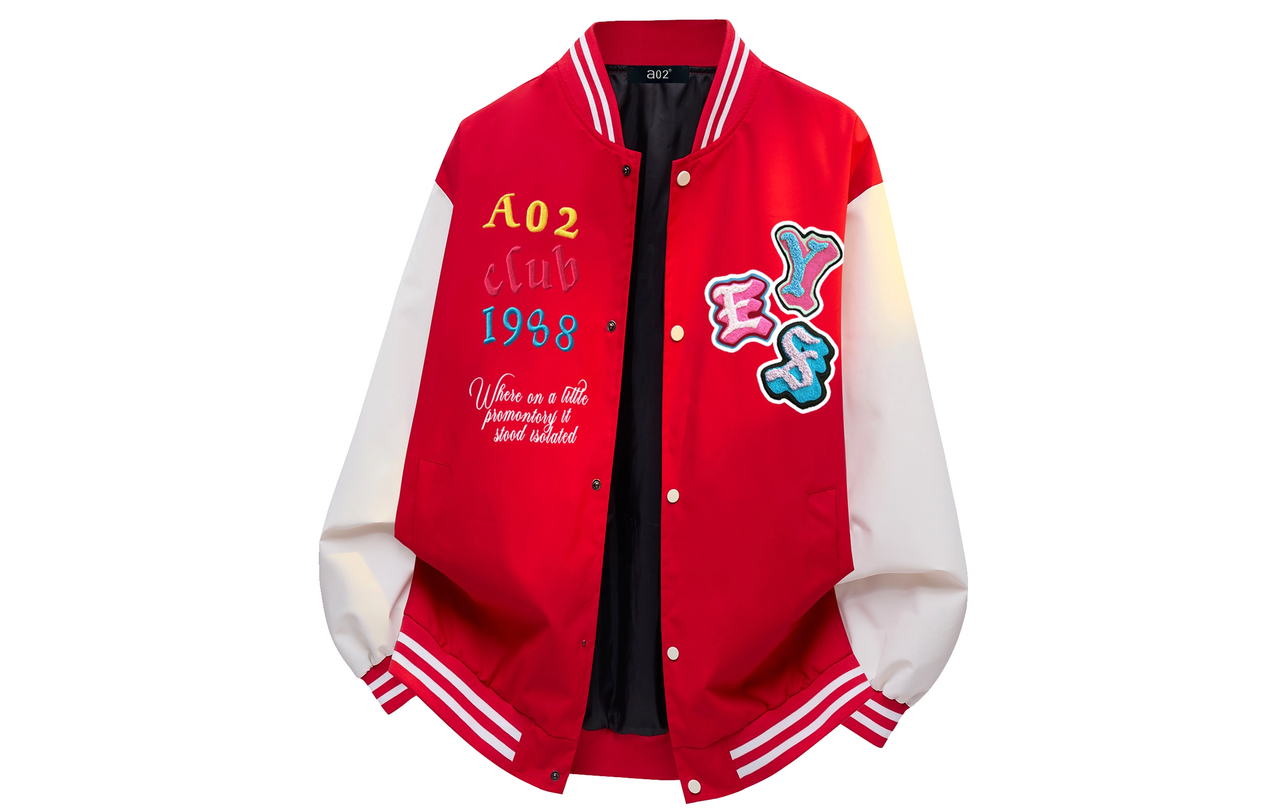 a02 LOGOins