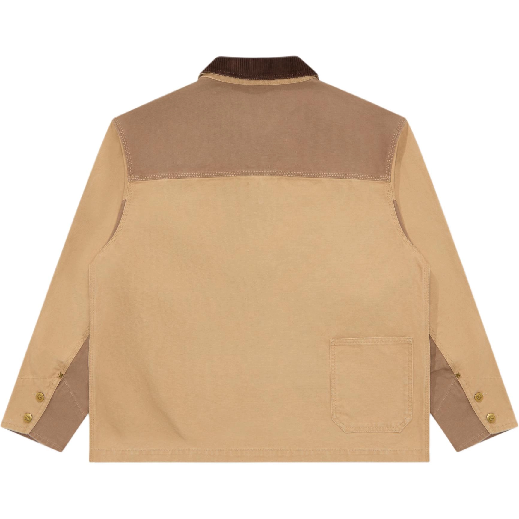 UNDEFEATED FW25