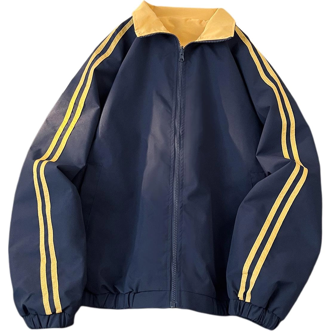 ICVBL 2025