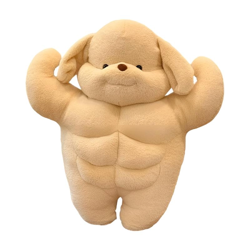 35cm50cm65cm