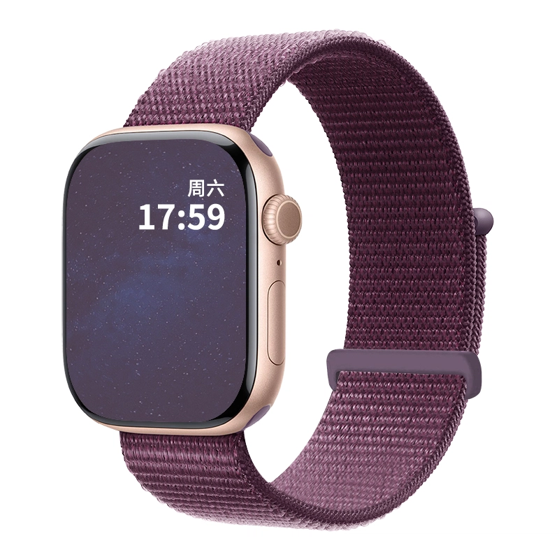 Apple Watch S10S9S8S7SE