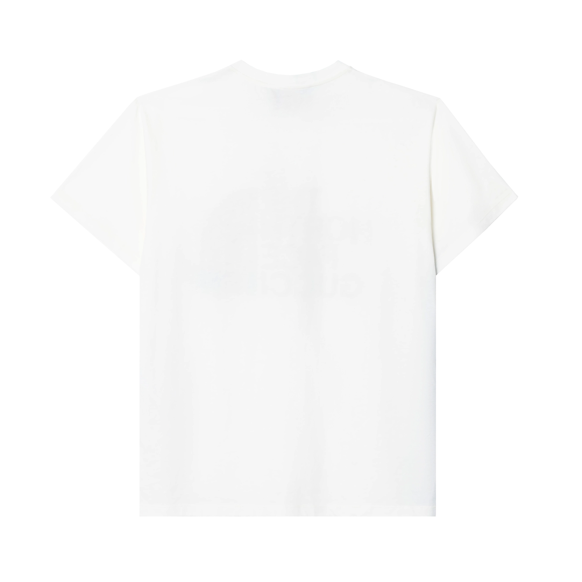 GUCCI x THE NORTH FACE SS22 T
