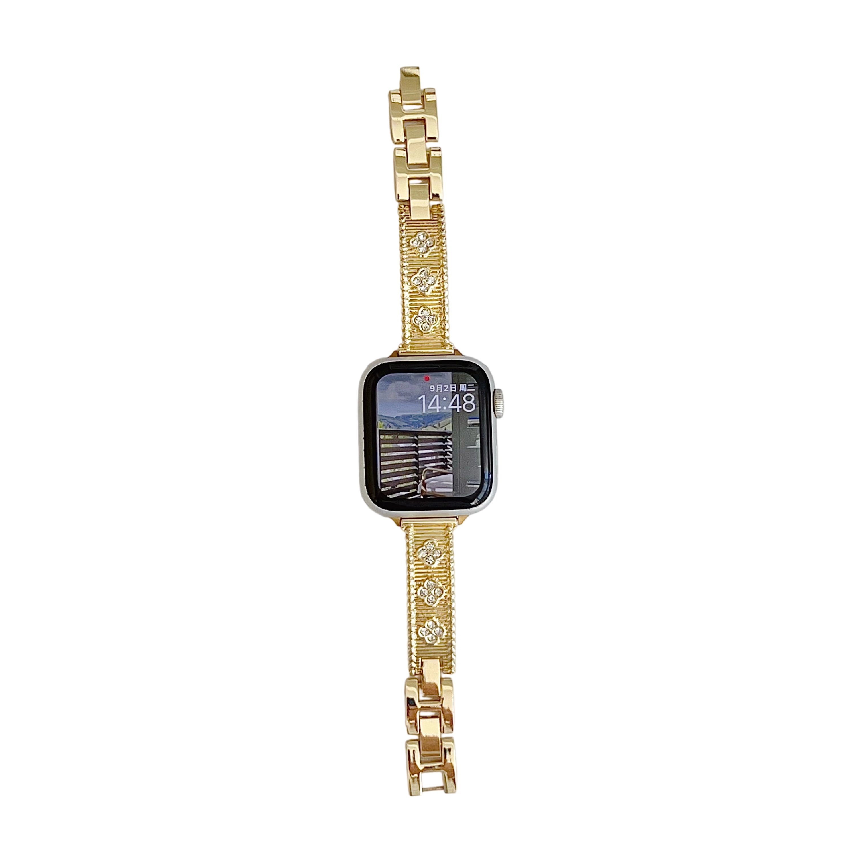 applewatch9876se54
