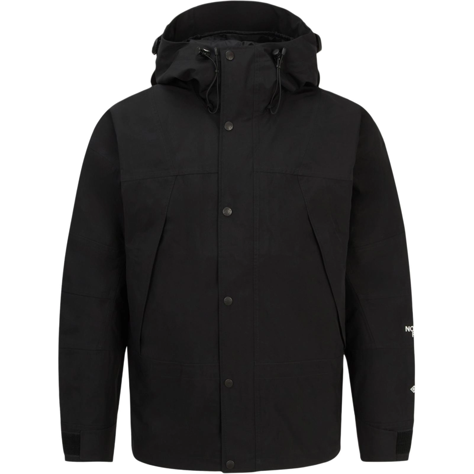THE NORTH FACE 1994 Gtx Mountain Logo