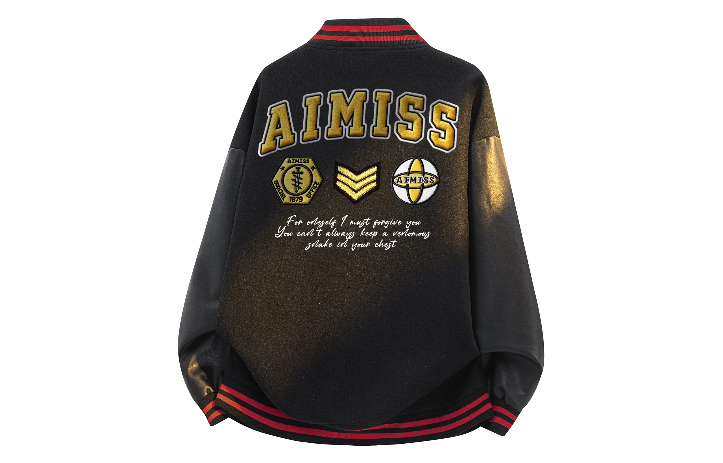 AIMISS LOGO