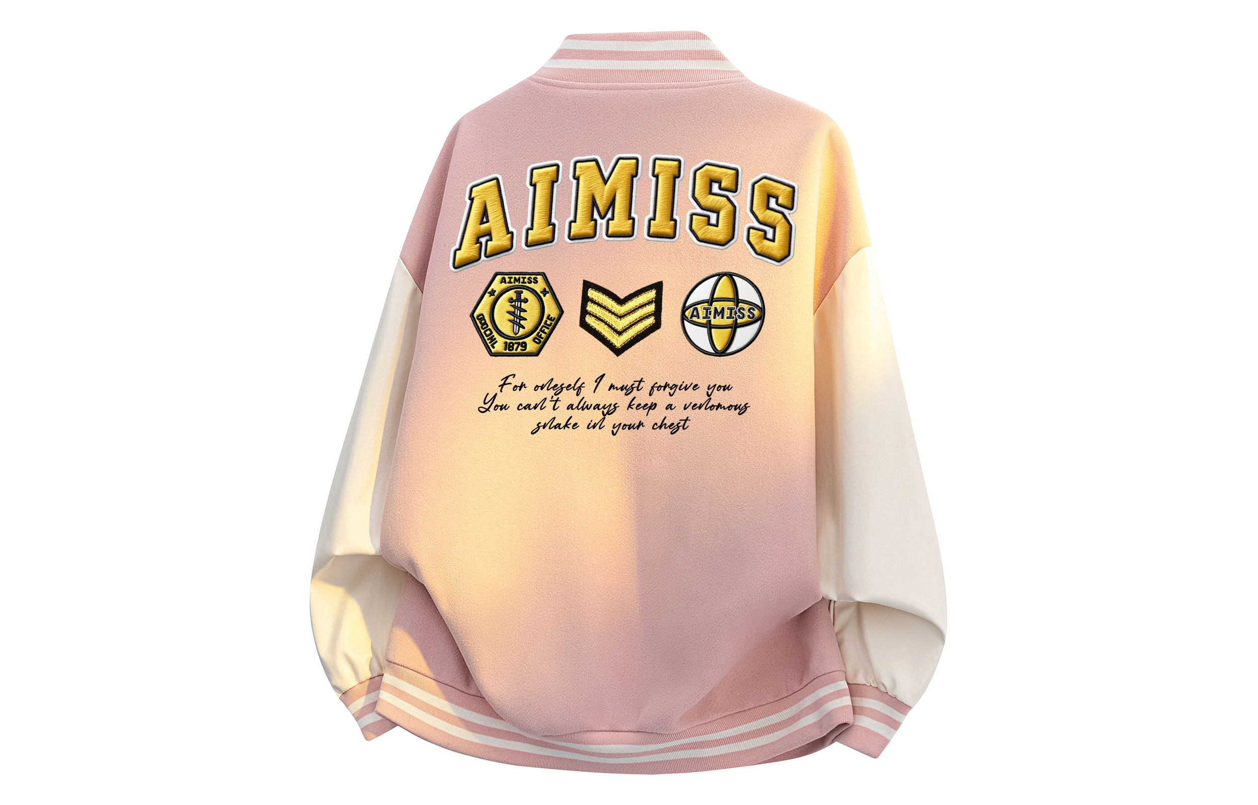 AIMISS LOGO