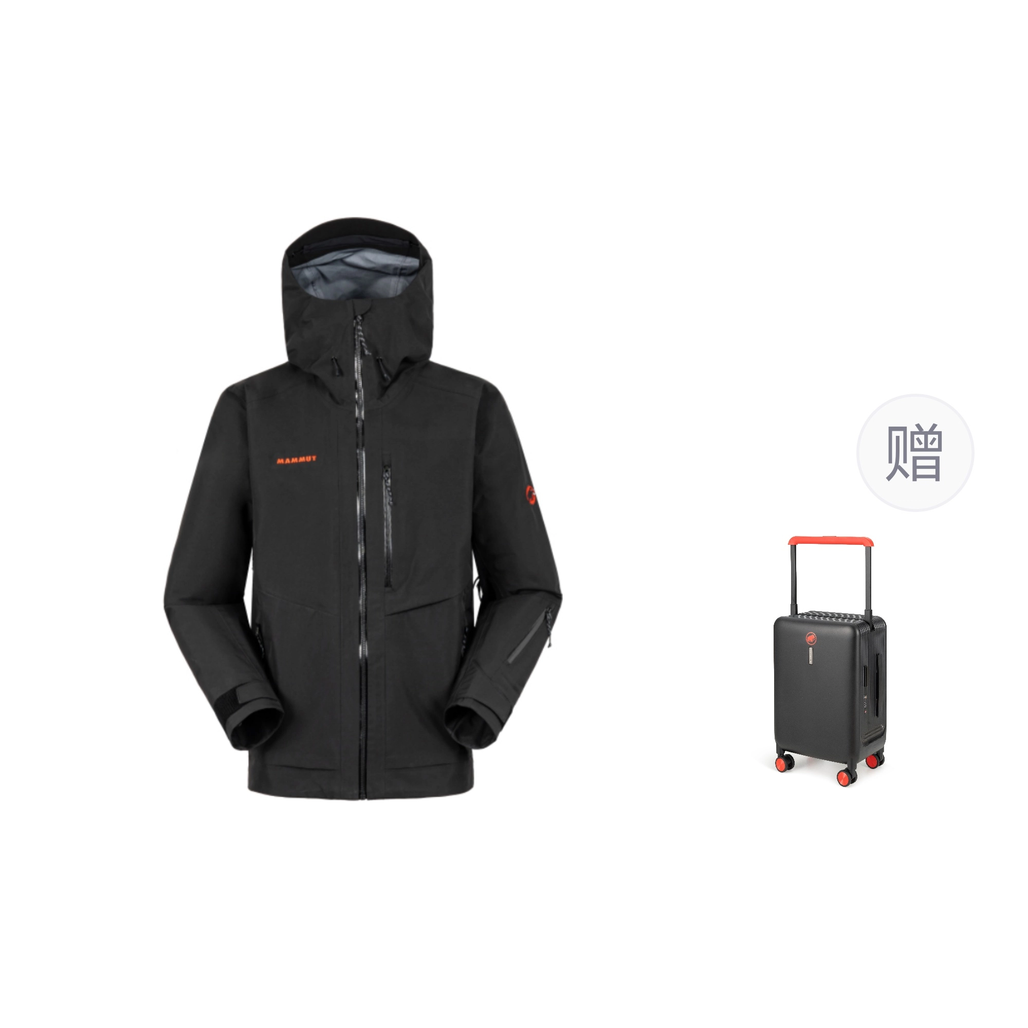 MAMMUT Mountain GTX Pro