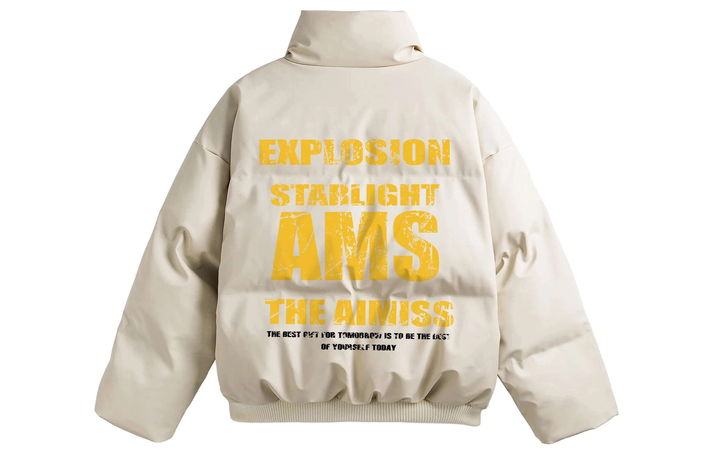 AIMISS PU