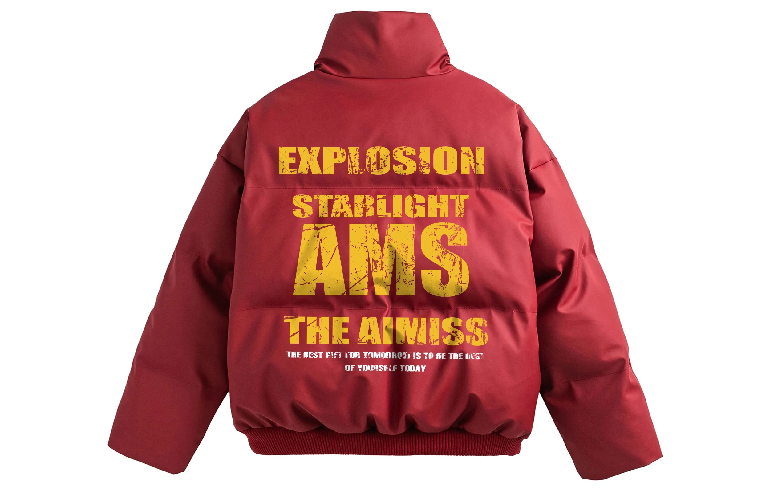 AIMISS PU