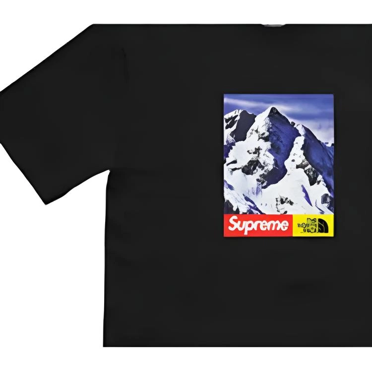 Supreme x THE NORTH FACE FW17 T