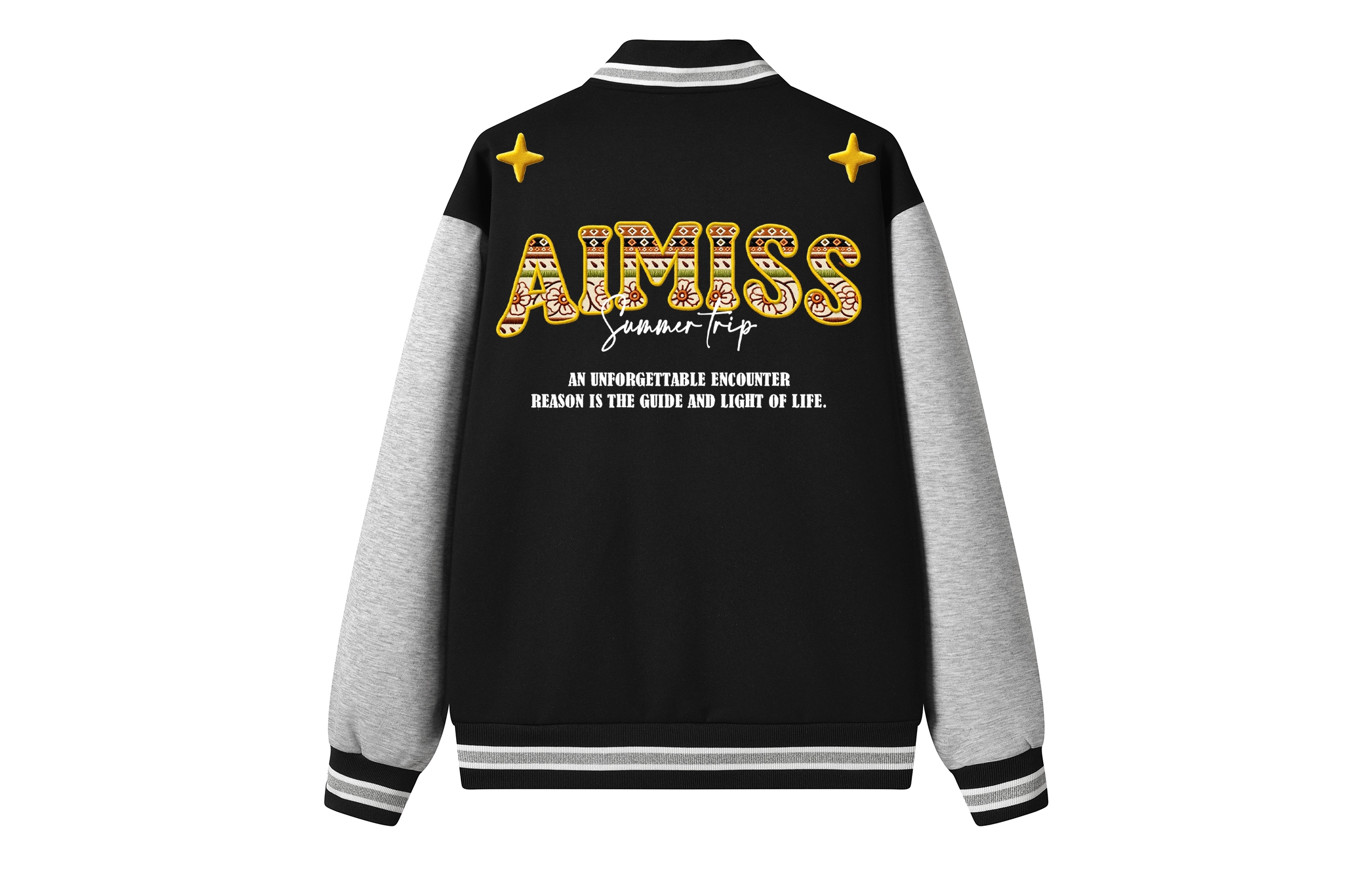 AIMISS Logo