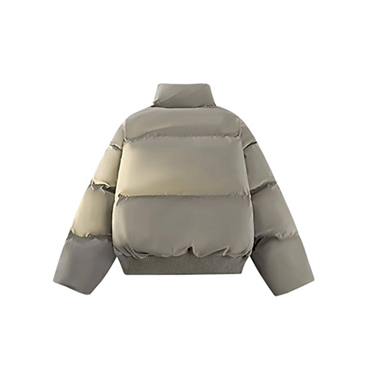 PINSCIO ZENIE cleanfit