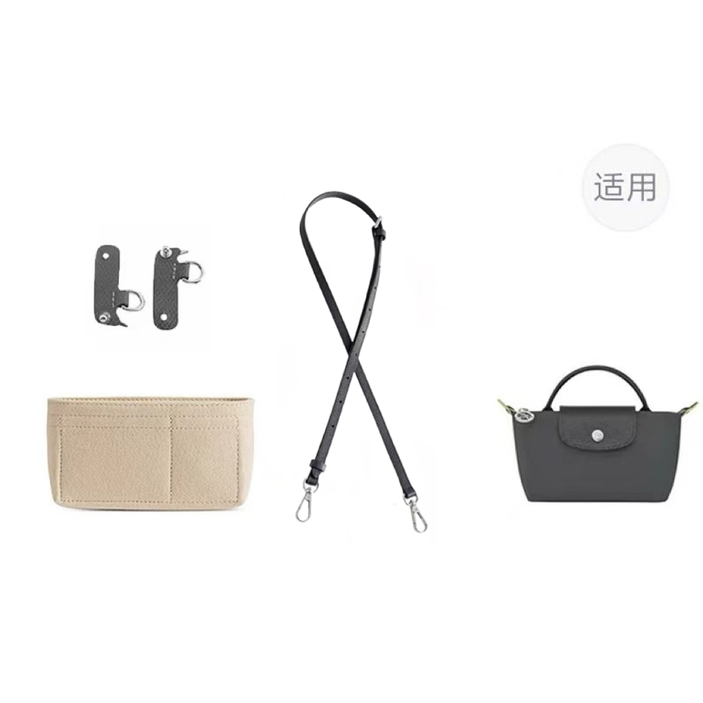 jingxi mini longchamp