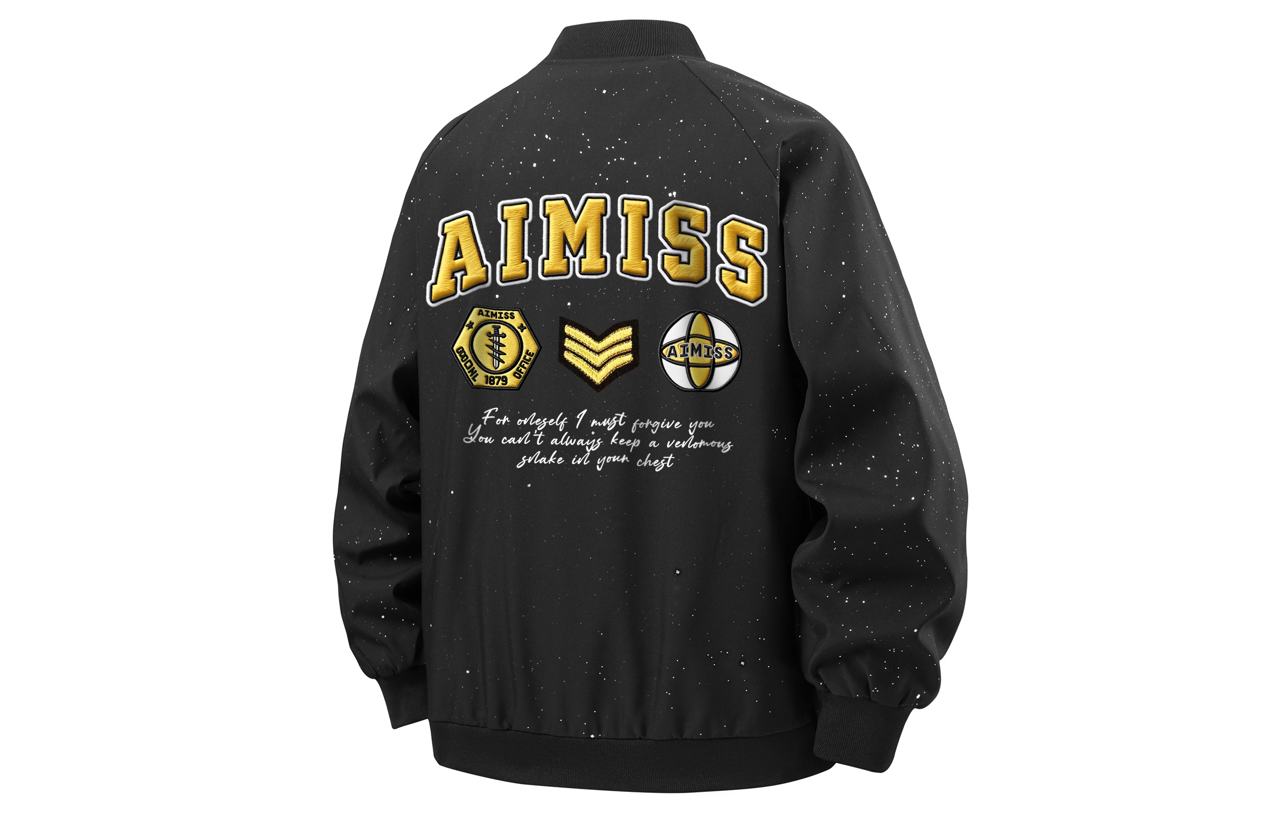 AIMISS LOGO