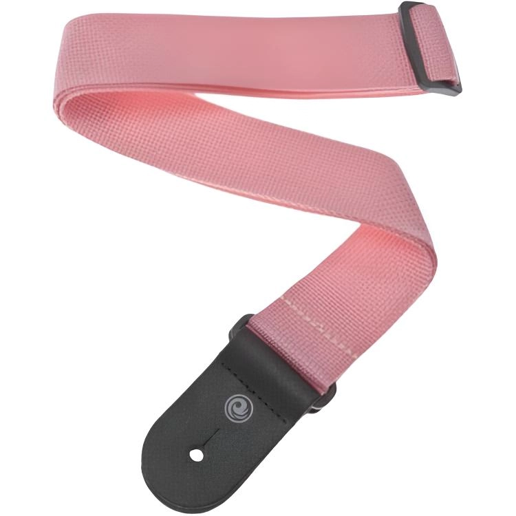 D'Addario PWS