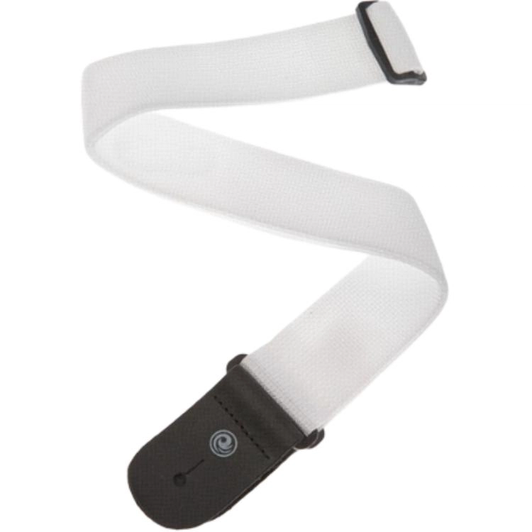 D'Addario PWS