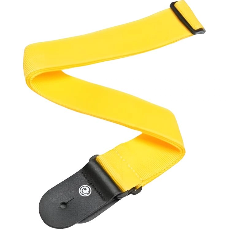 D'Addario PWS