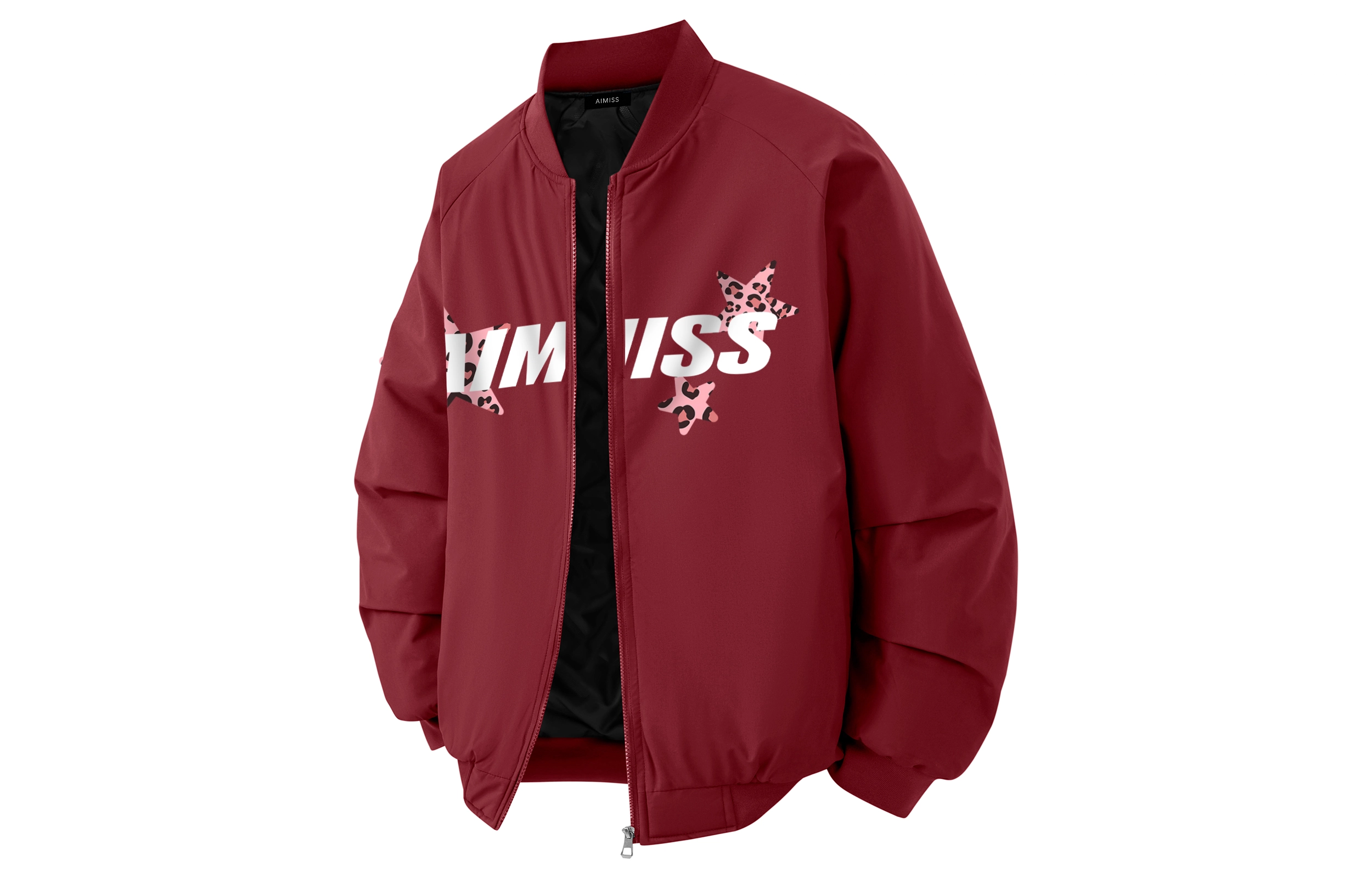AIMISS LOGO