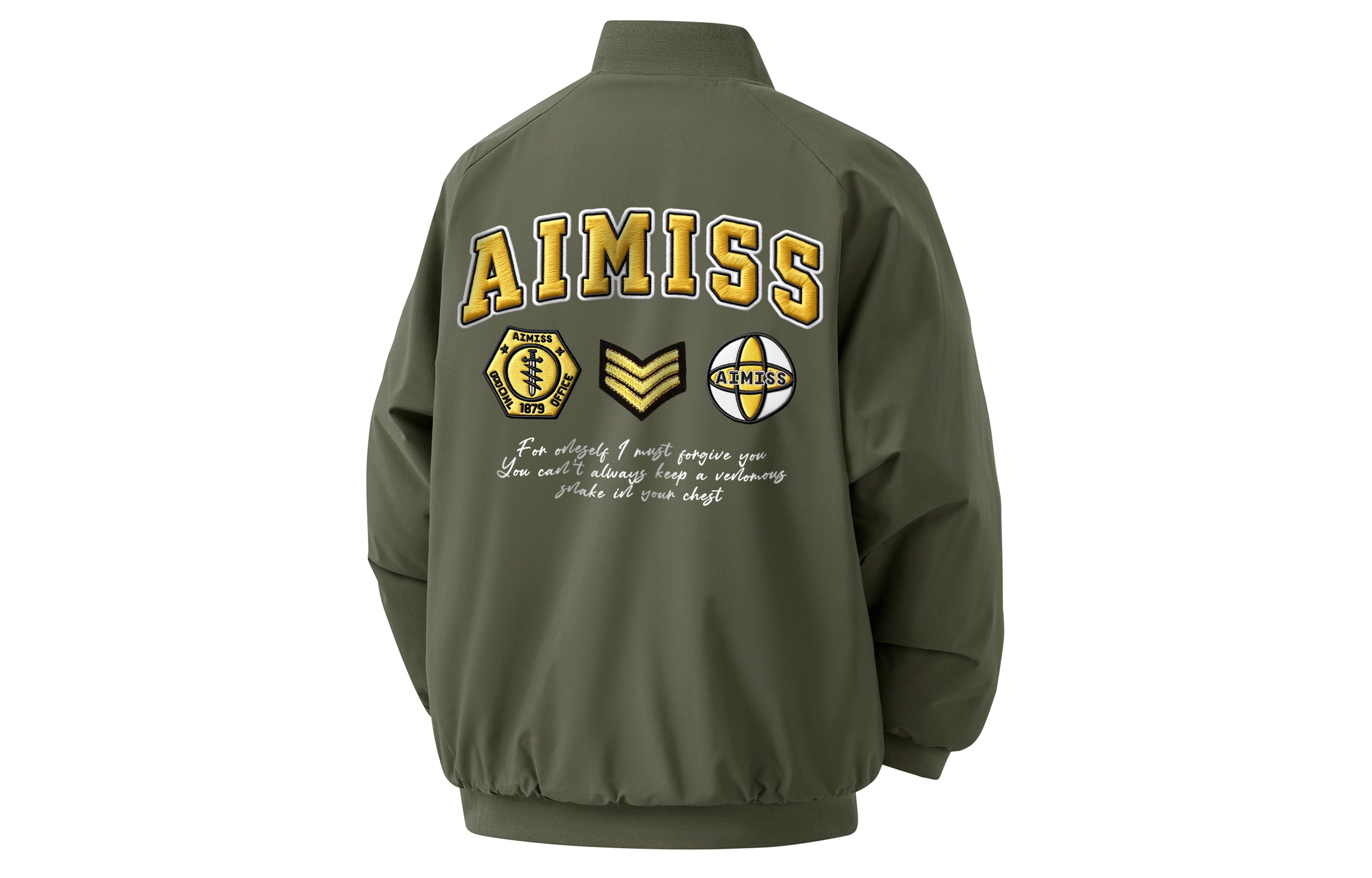 AIMISS LOGO