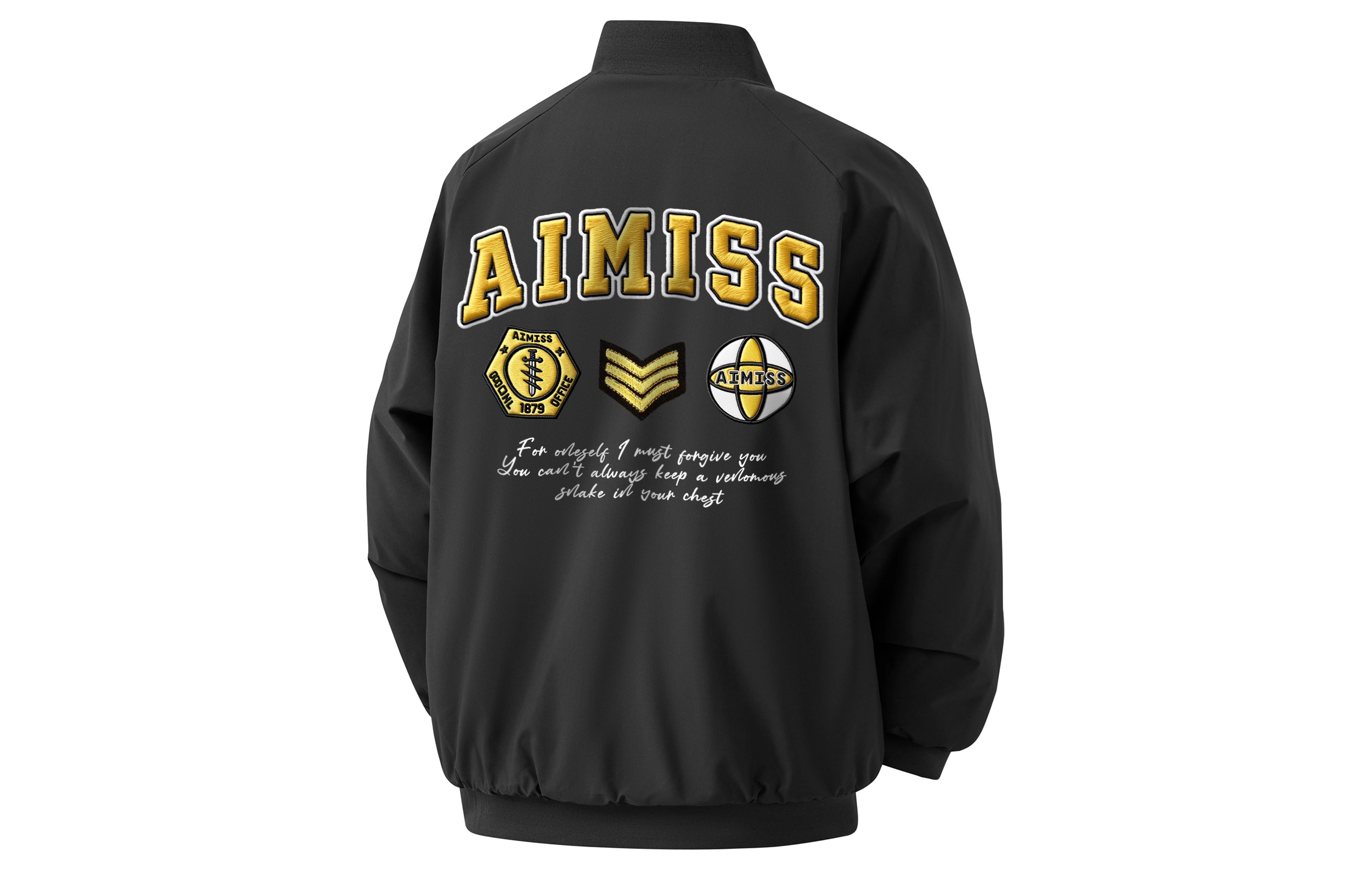 AIMISS LOGO