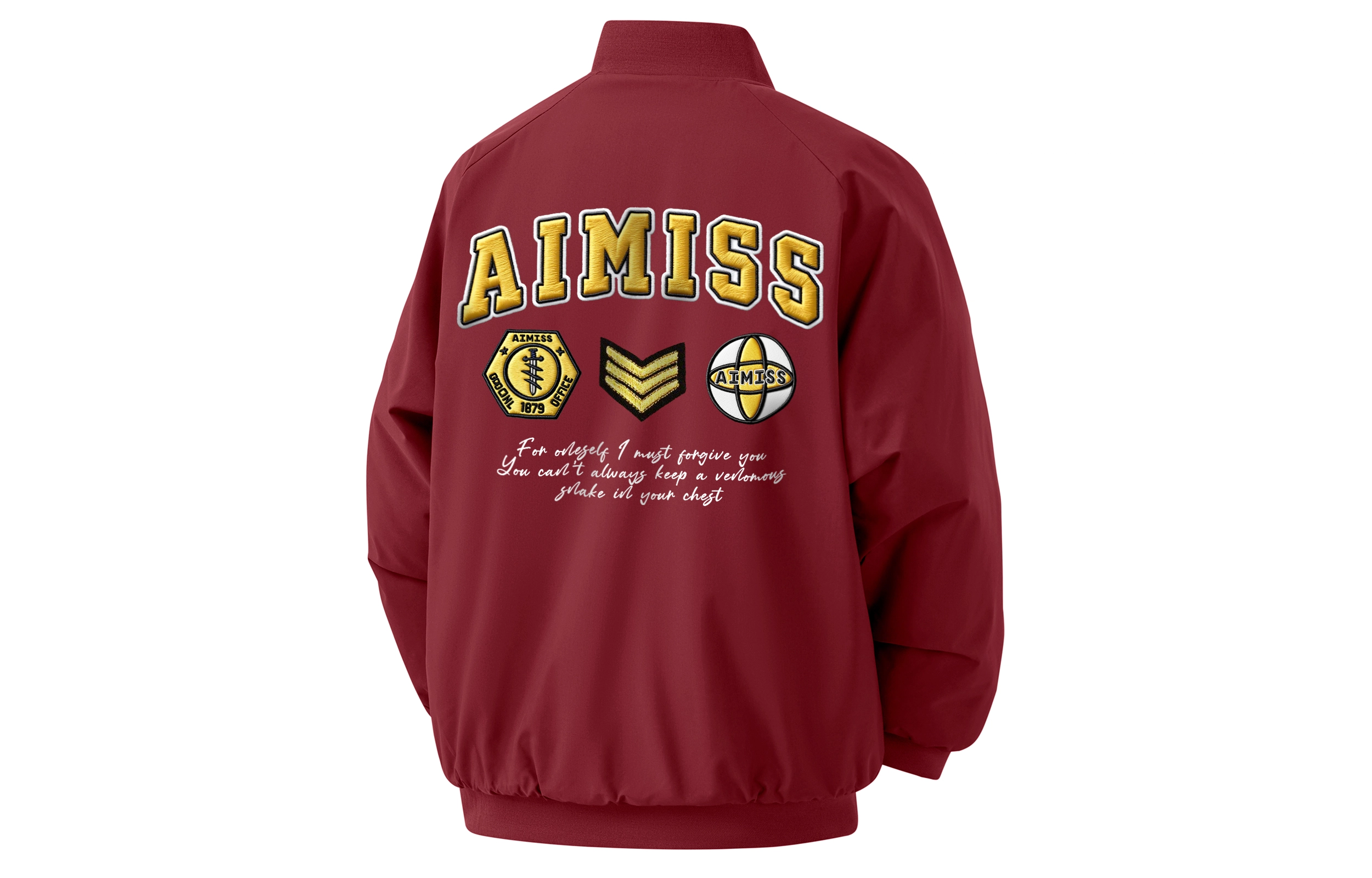 AIMISS LOGO