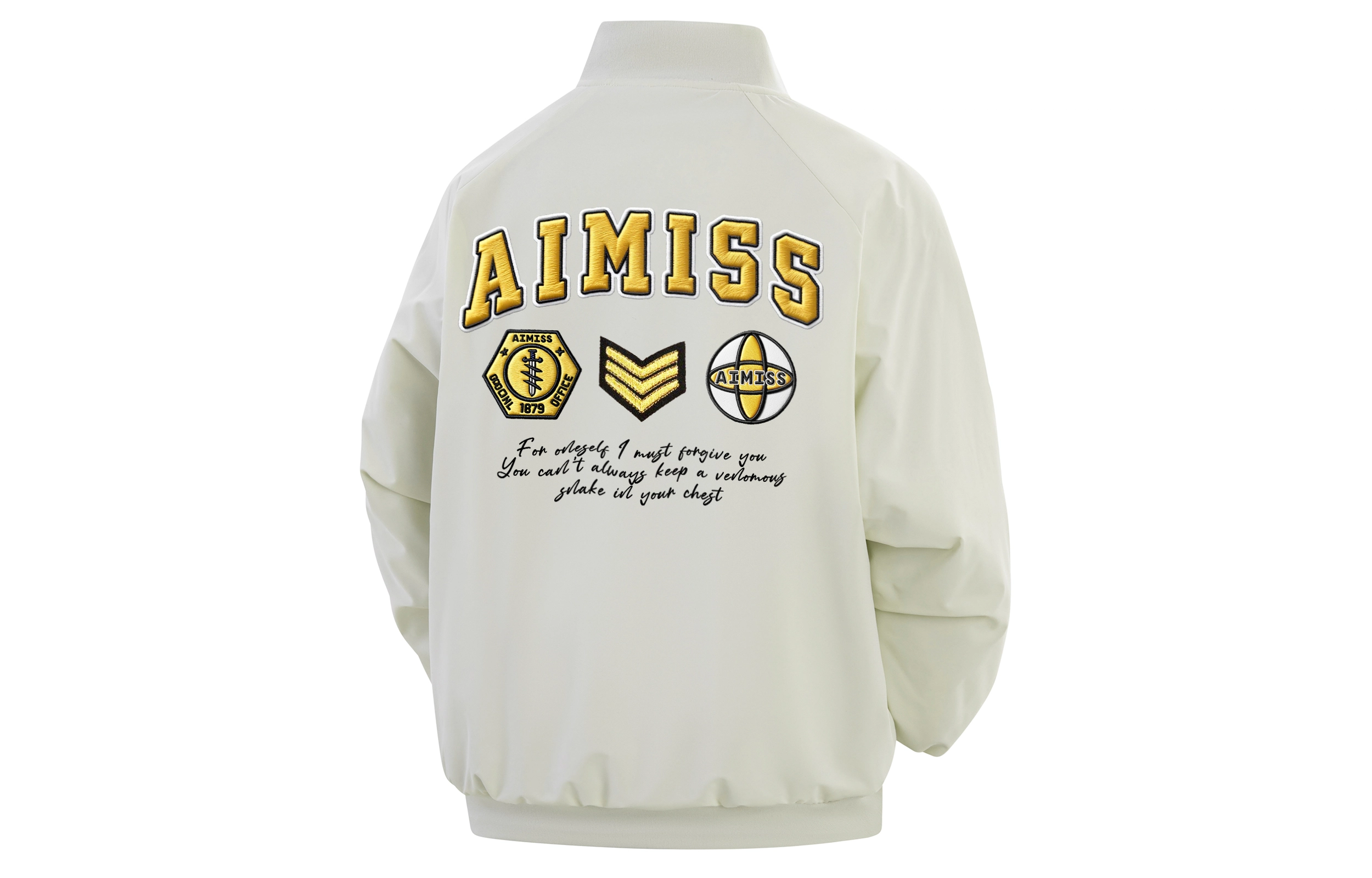 AIMISS LOGO