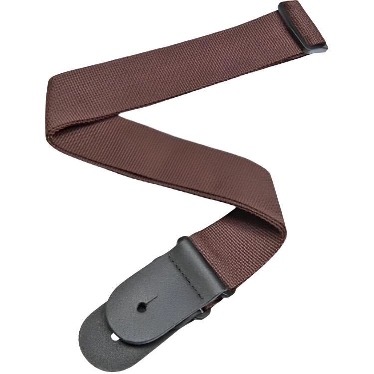 D'Addario PWS