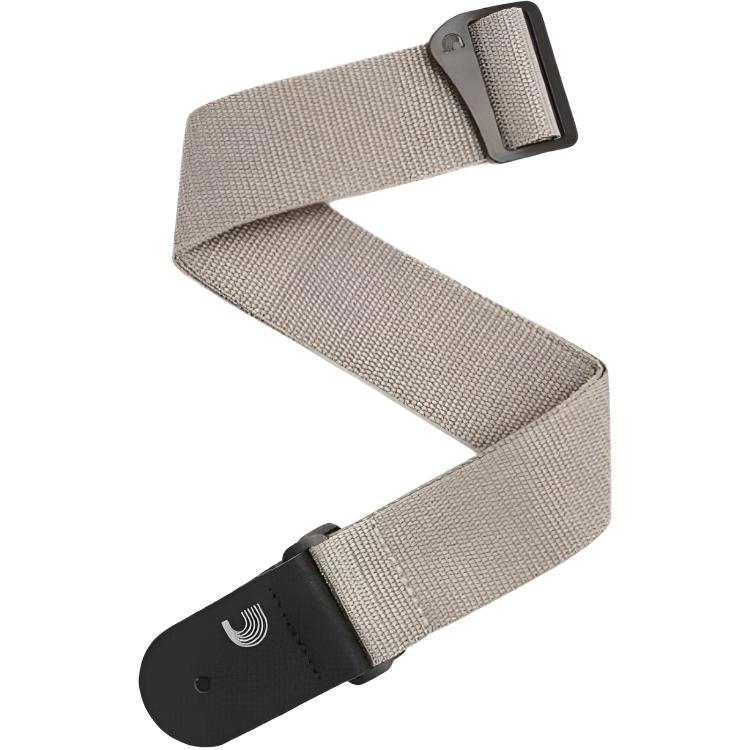 D'Addario PWS
