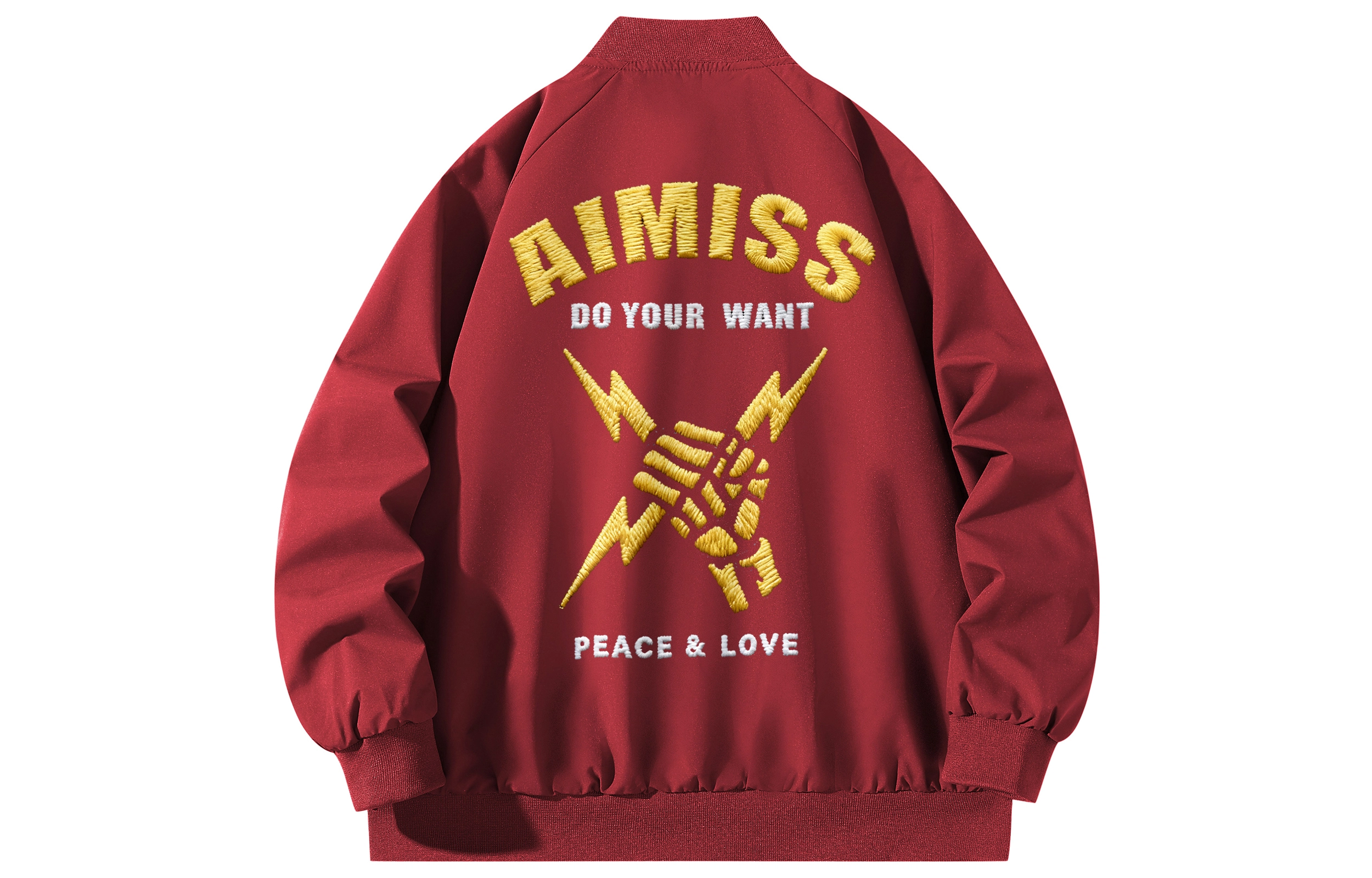 AIMISS LOGO