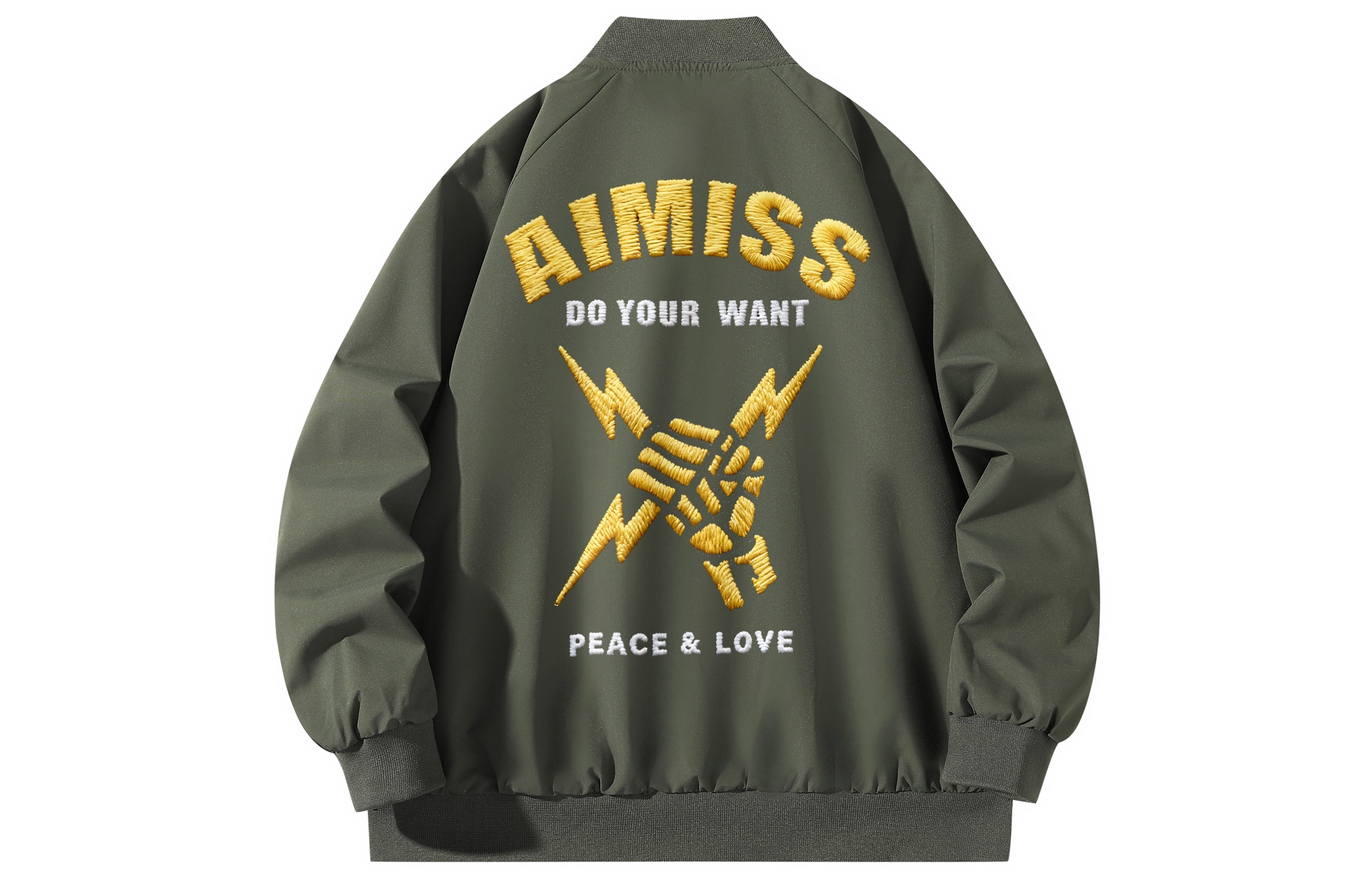 AIMISS LOGO