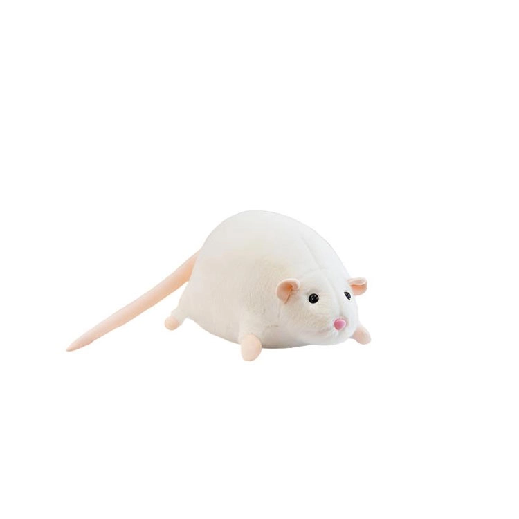 35cm50cm90cm