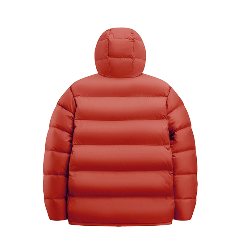 PELLIOT 800