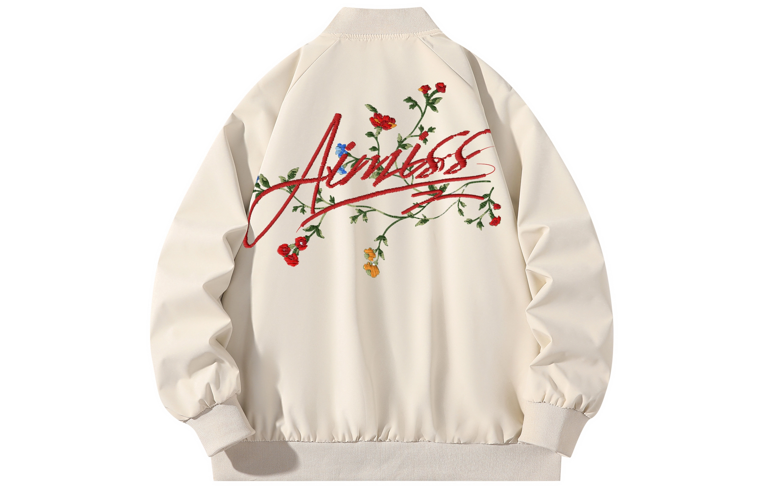 AIMISS LOGO