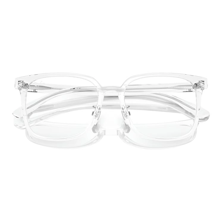 RayBan Logo