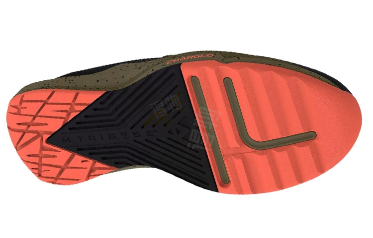 Under Armour Project Rock Bsr 2