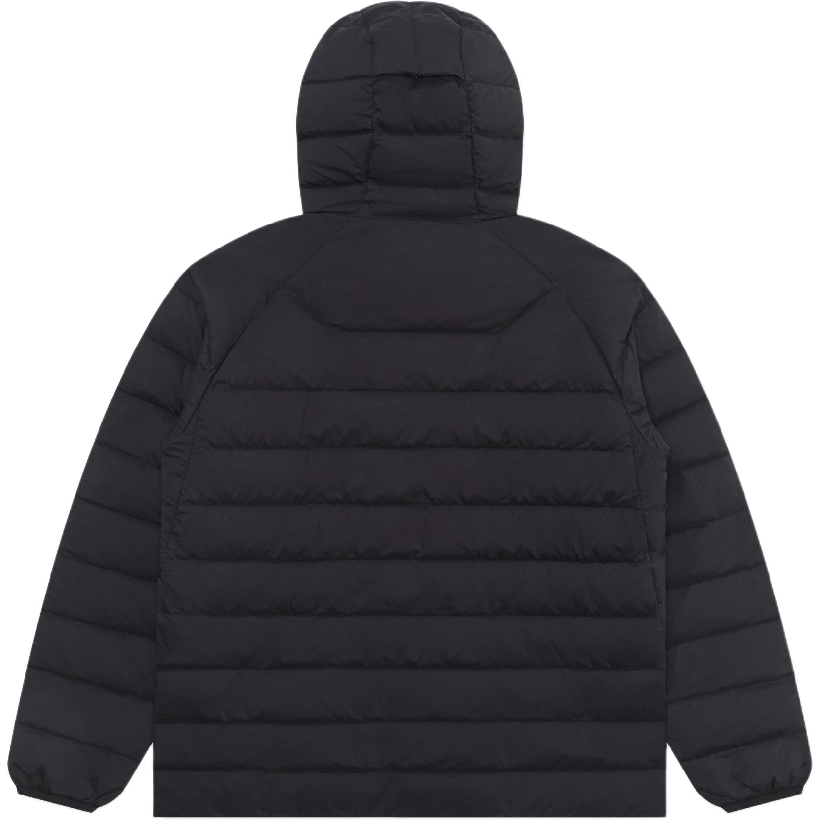 UNDEFEATED SPORT FW25