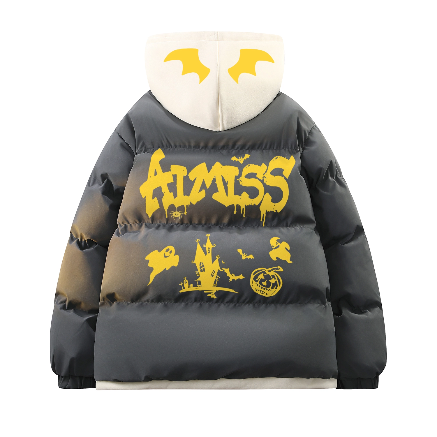 AIMISS Loog