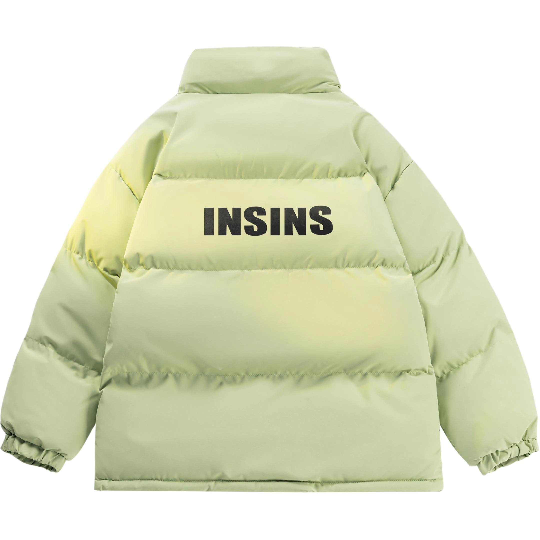 INS inslogo