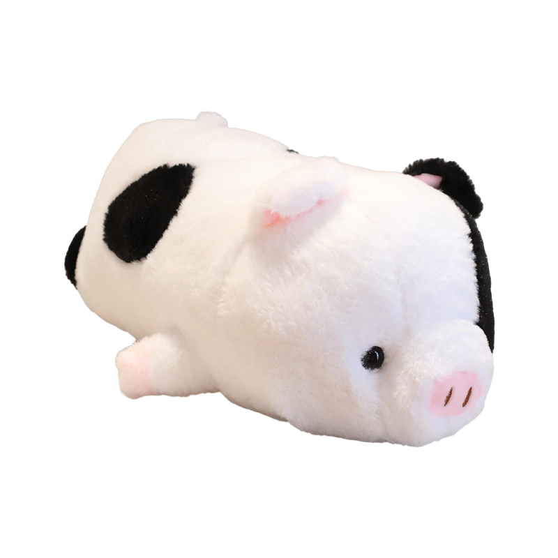 JBBCN 40cm50cm