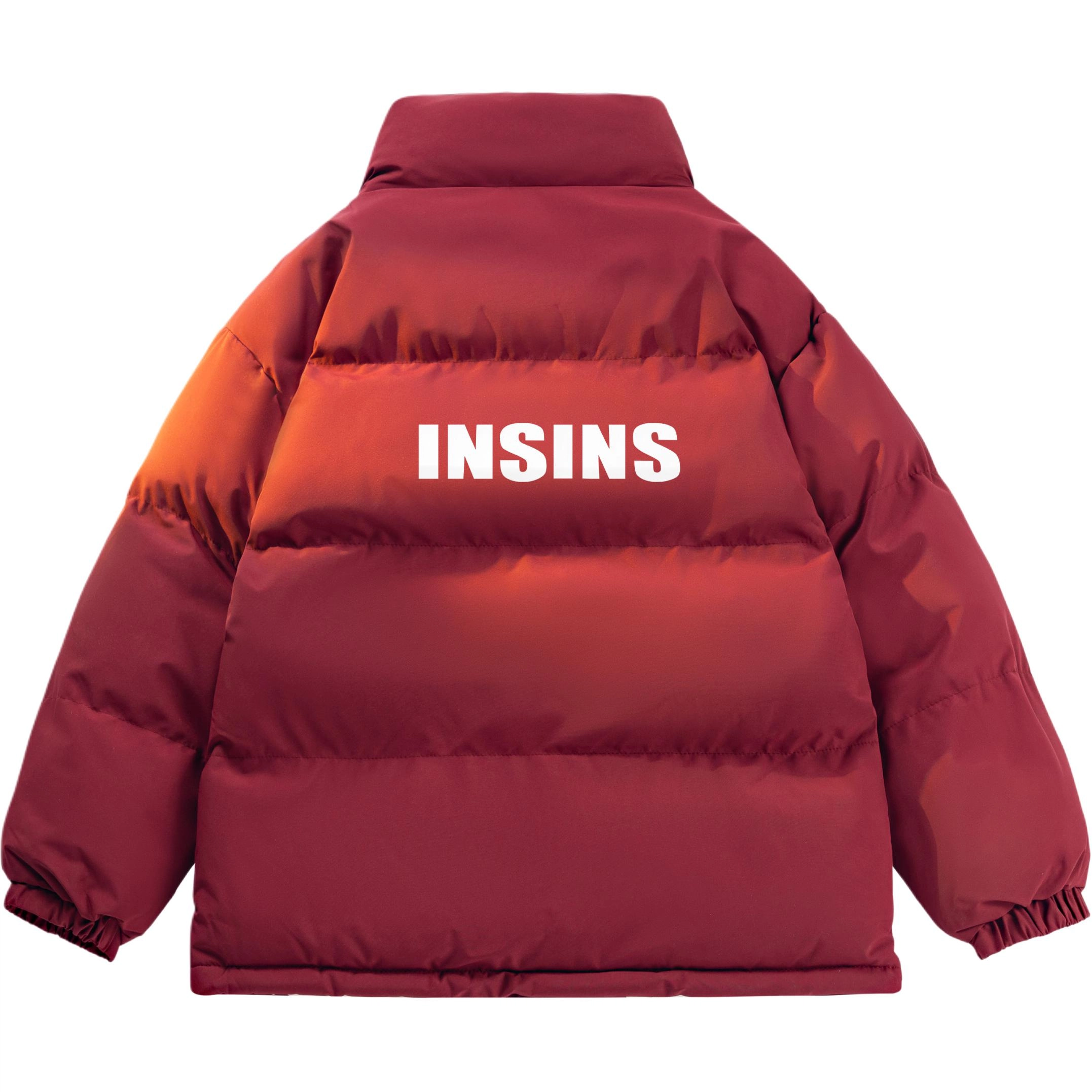 INS inslogo