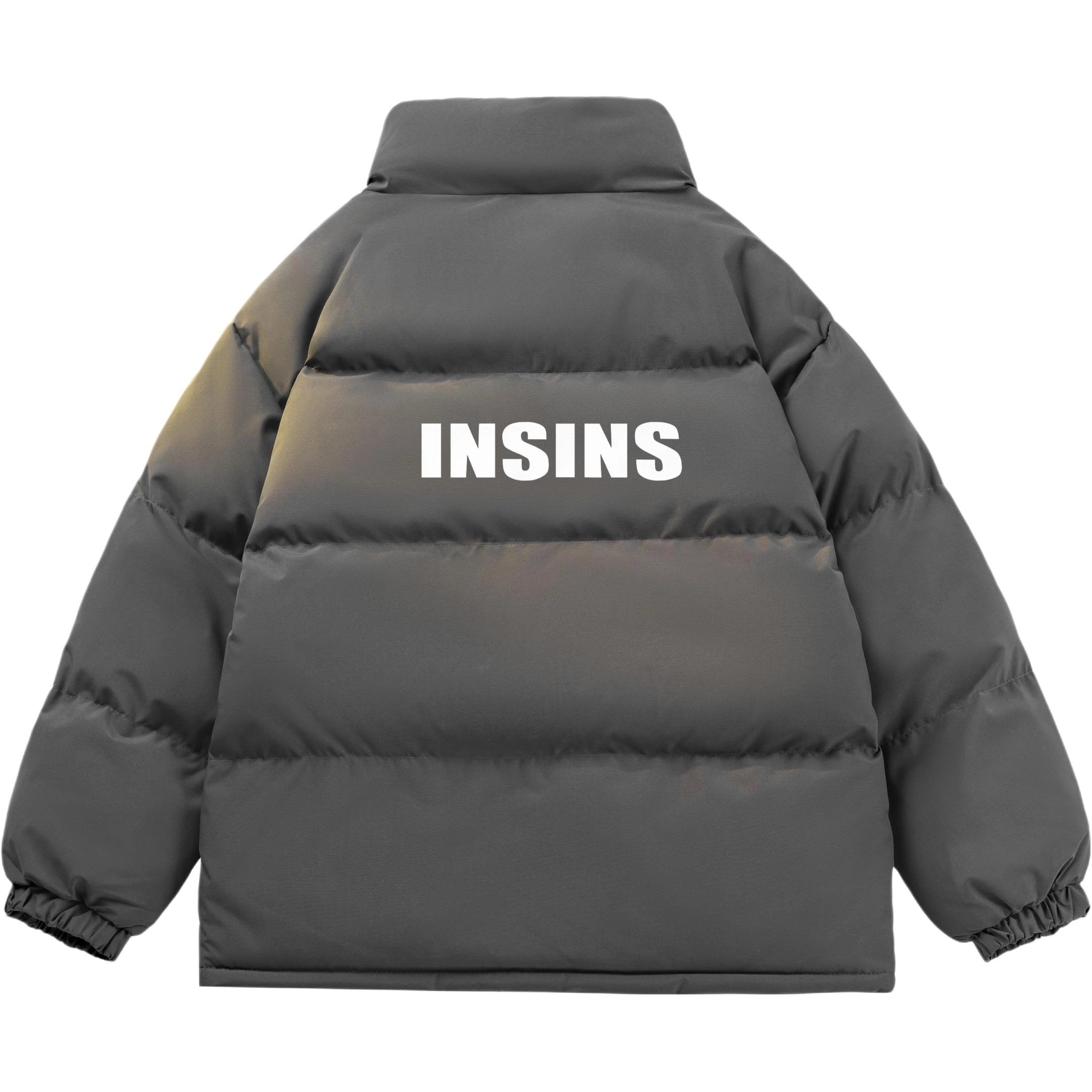 INS inslogo