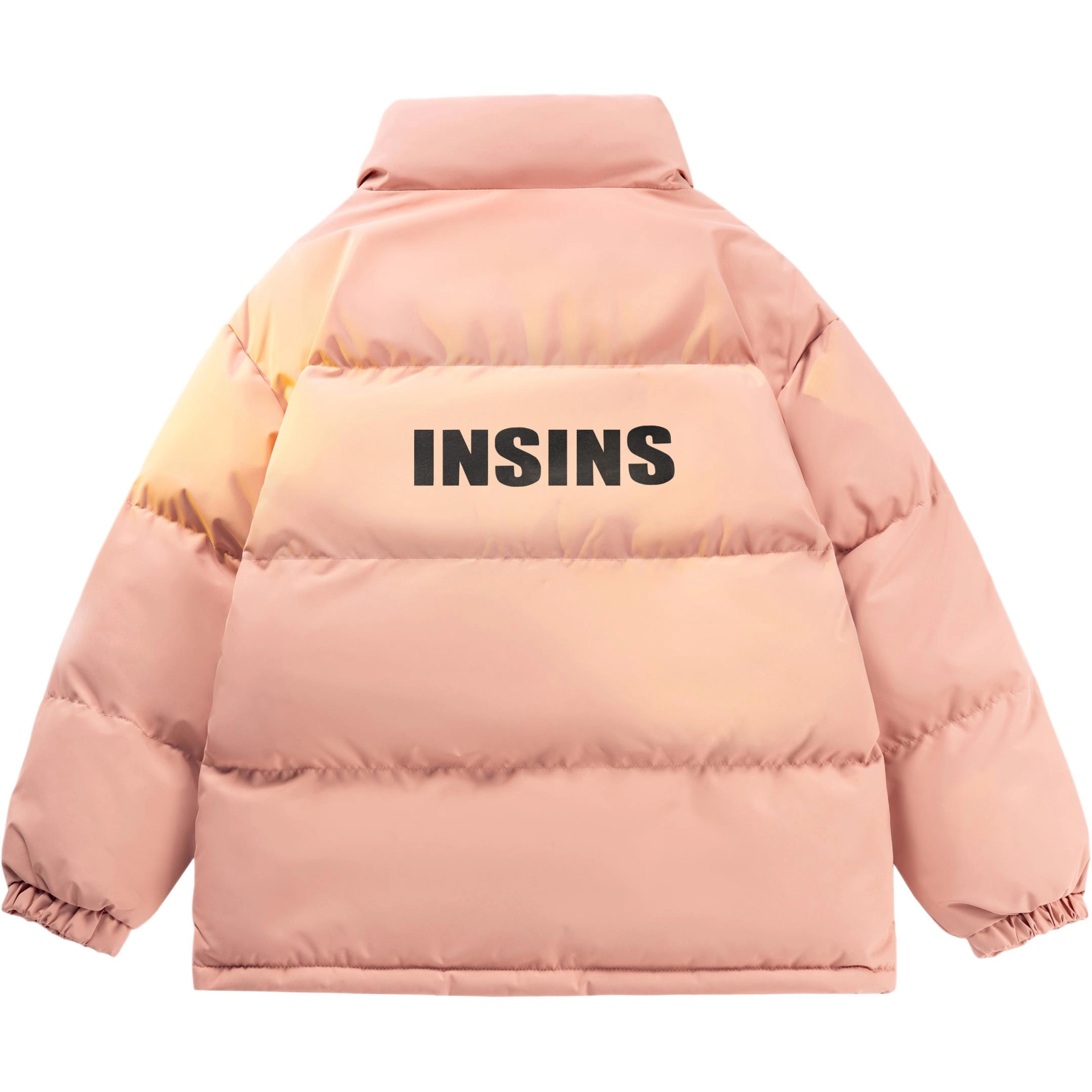 INS inslogo